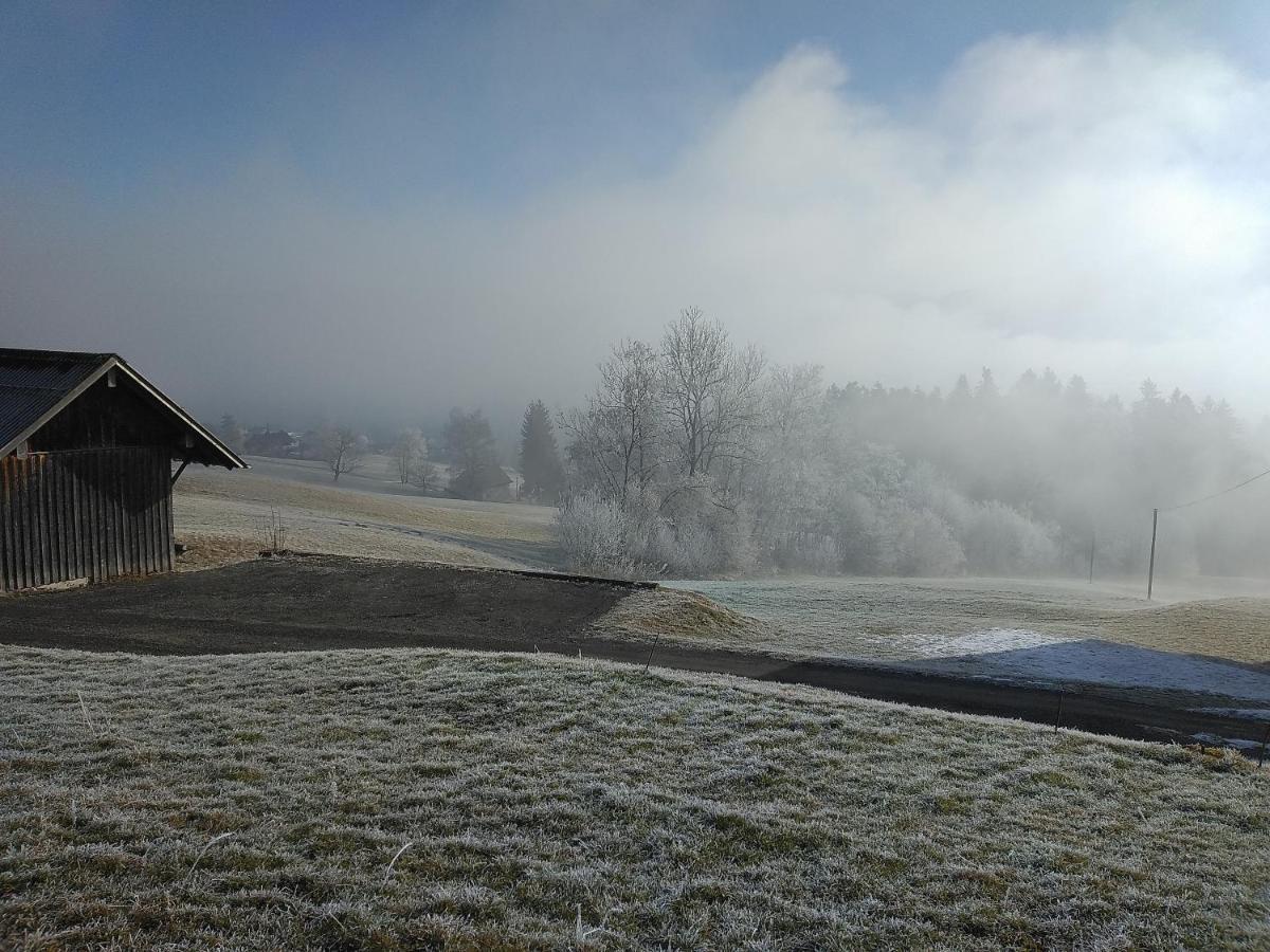Tolles Einfamilienhaus Nahe Dem Bodensee * Lauterach